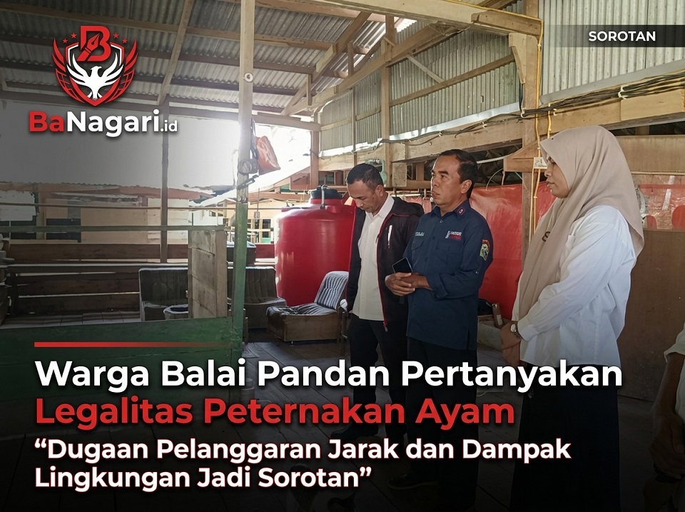 Ayam