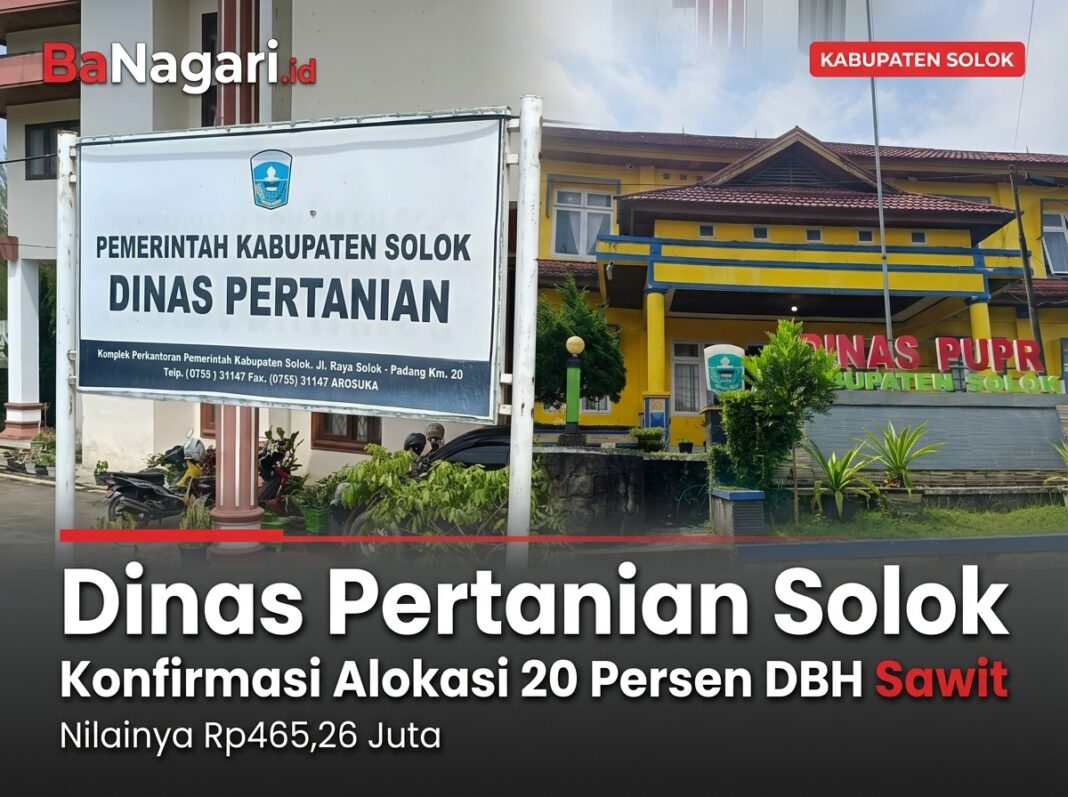 Dinas Pertanian Solok Konfirmasi Alokasi 20 Persen DBH Sawit, Nilainya Rp465,26 Juta
