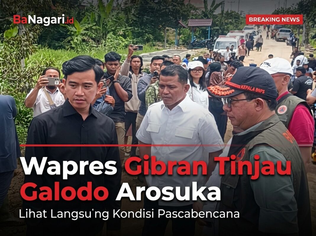 Wapres Gibran meninjau lokasi galodo di Arosuka Kabupaten Solok
